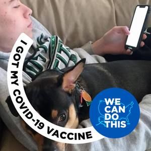 Meet your Posher, Harry